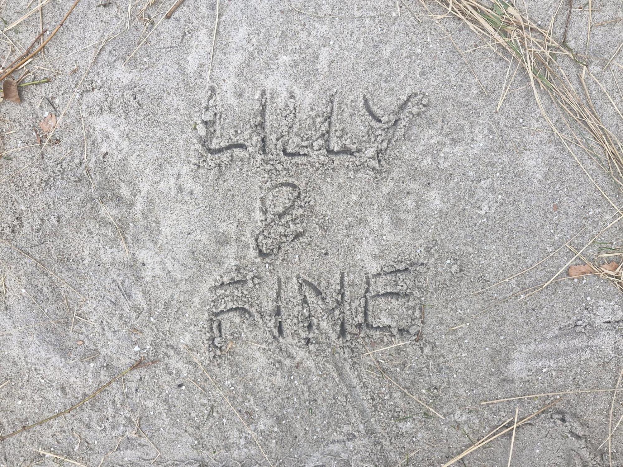 Lilly & Fine Apartment ซิงสท์ ภายนอก รูปภาพ